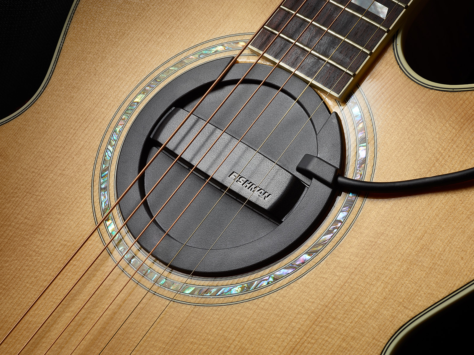 ギター FISHMAN Neo-Buster Humbucking Pickup Neo-Buster Humbucking Soundhole Pickup WITH Feedback Buster