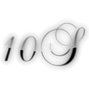 10S OEM logo