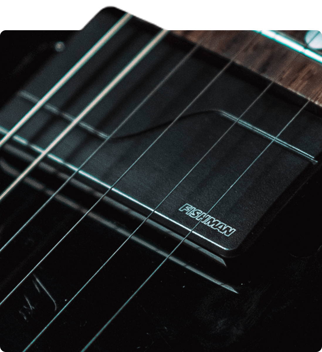 Home Card Fishman Type Electric Pickups RD