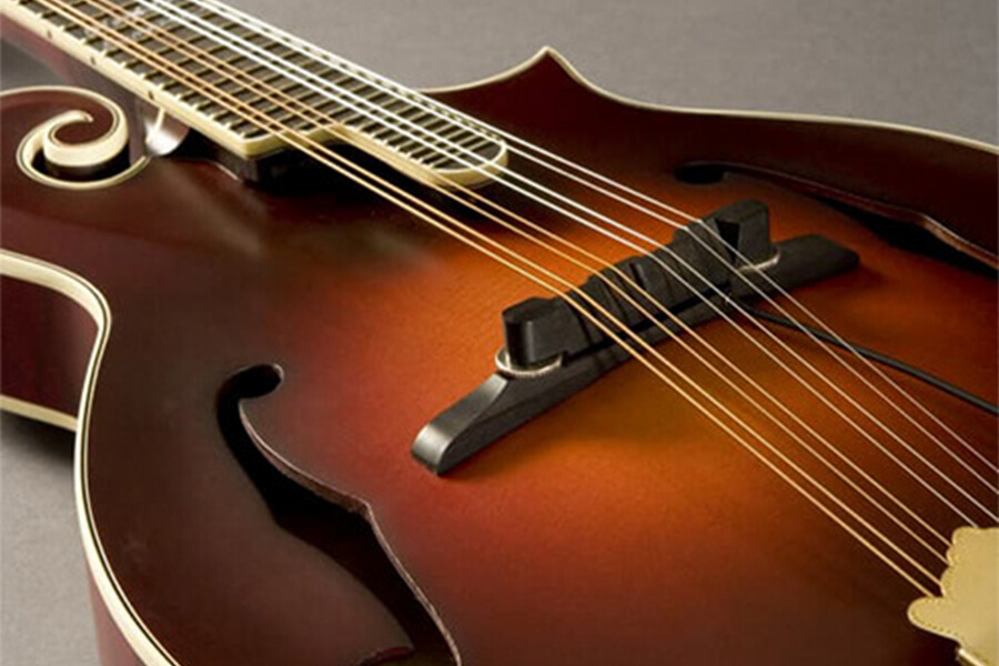 Nashville Series M-300 Archtop Mandolin Pickup