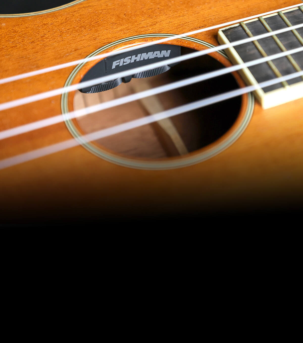 Fishman Matrix Infinity VT