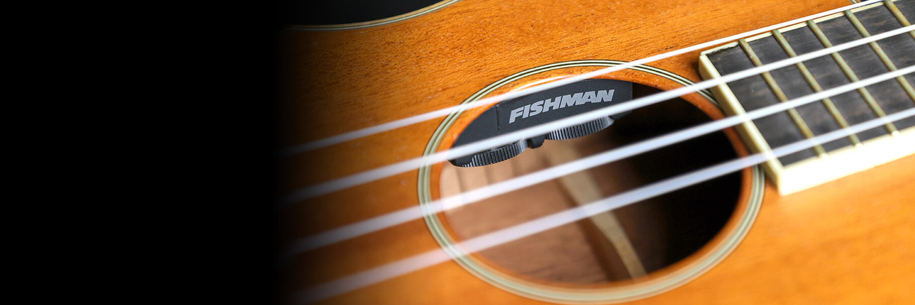 Fishman Matrix Infinity VT