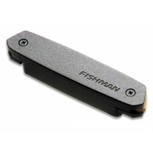 Neo-D Humbucking Pickup angled