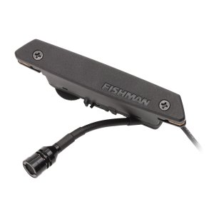 Rare Earth Mic Blend Soundhole Pickup